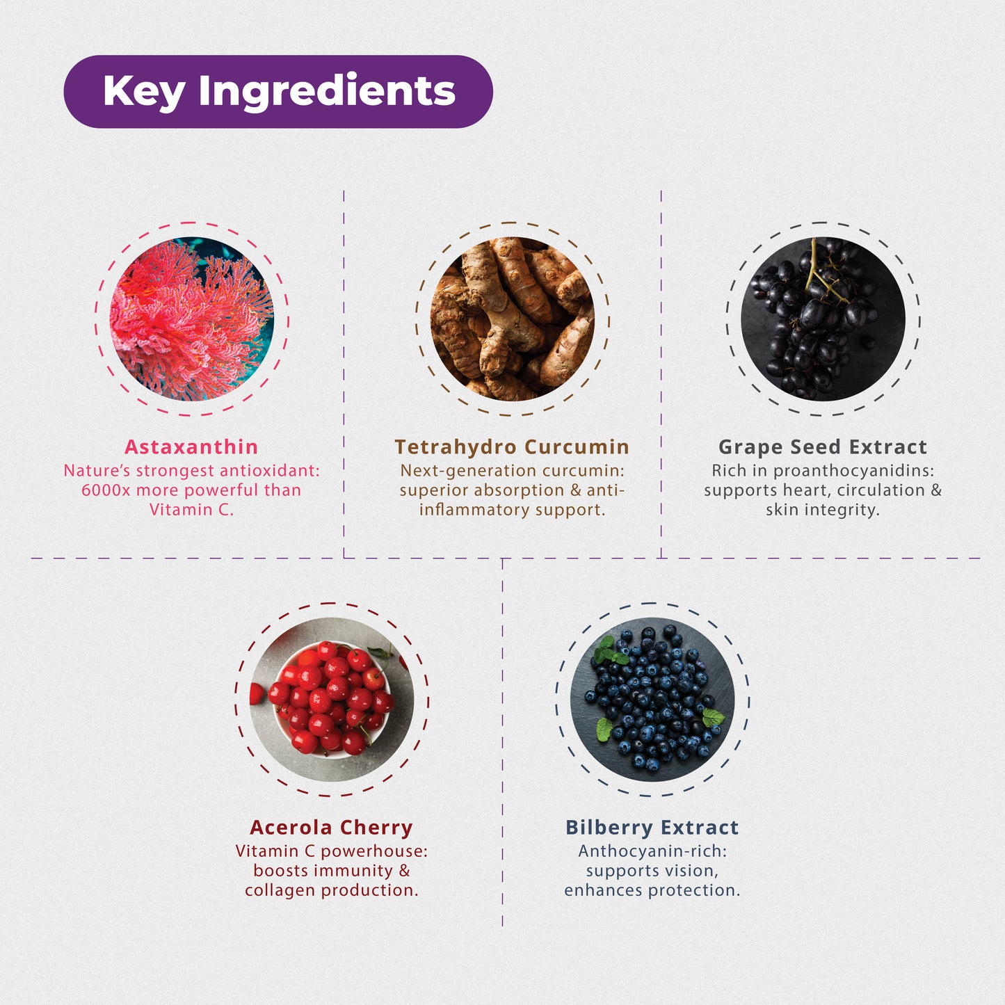 R-CEL Granules – Nature-Powered Cellular Vitality